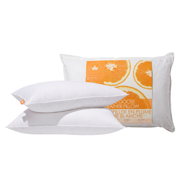 Canadian Down & Feather Company Quilted White Goose Feather Pillow